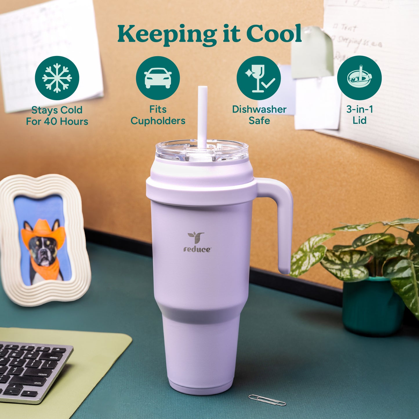 Cold1 50 oz - Reduce Everyday