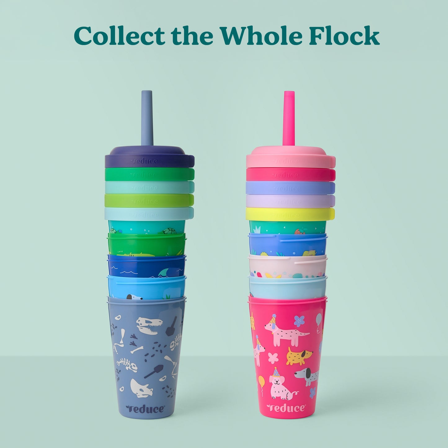 Gogos 12 oz - Reduce Everyday