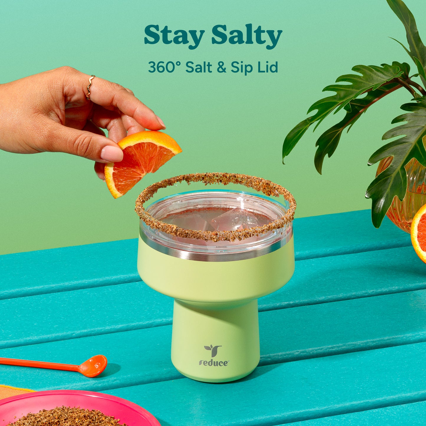 Saltini Party Pack - Reduce Everyday