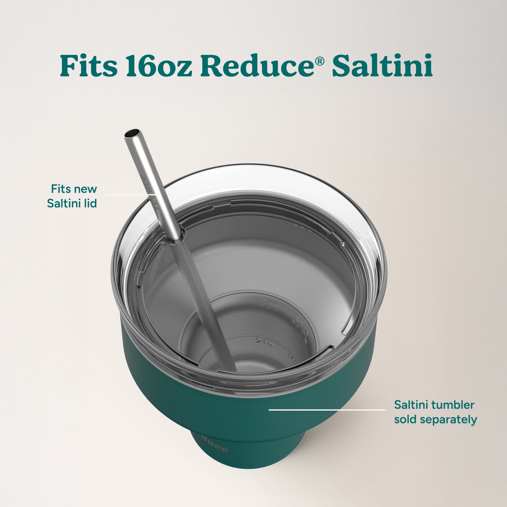 Saltini Straw Set - Reduce Everyday