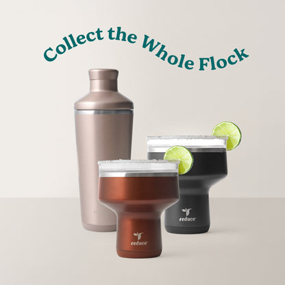 Cocktail Shaker 20 oz - Reduce Everyday