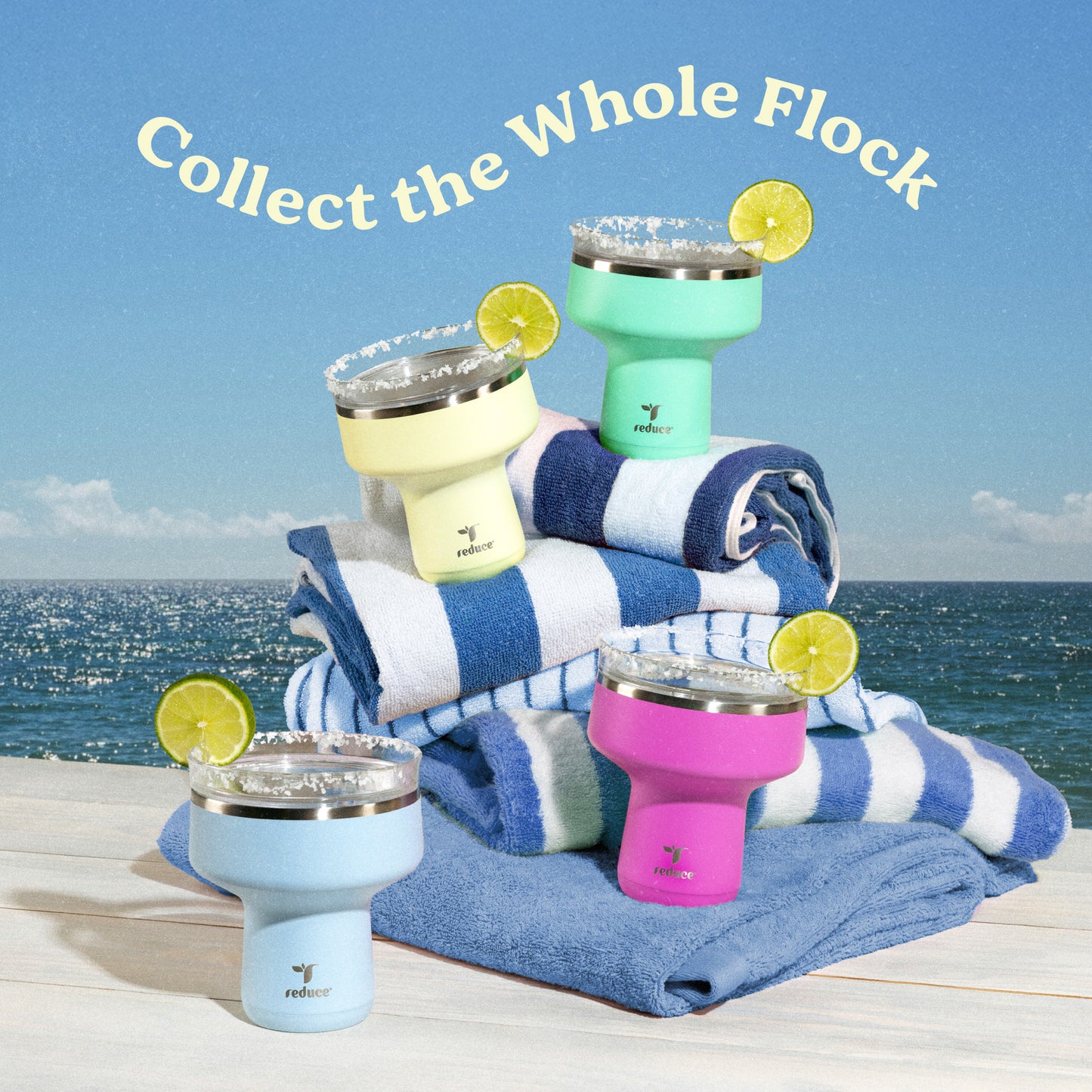 Saltini Party Pack - Reduce Everyday