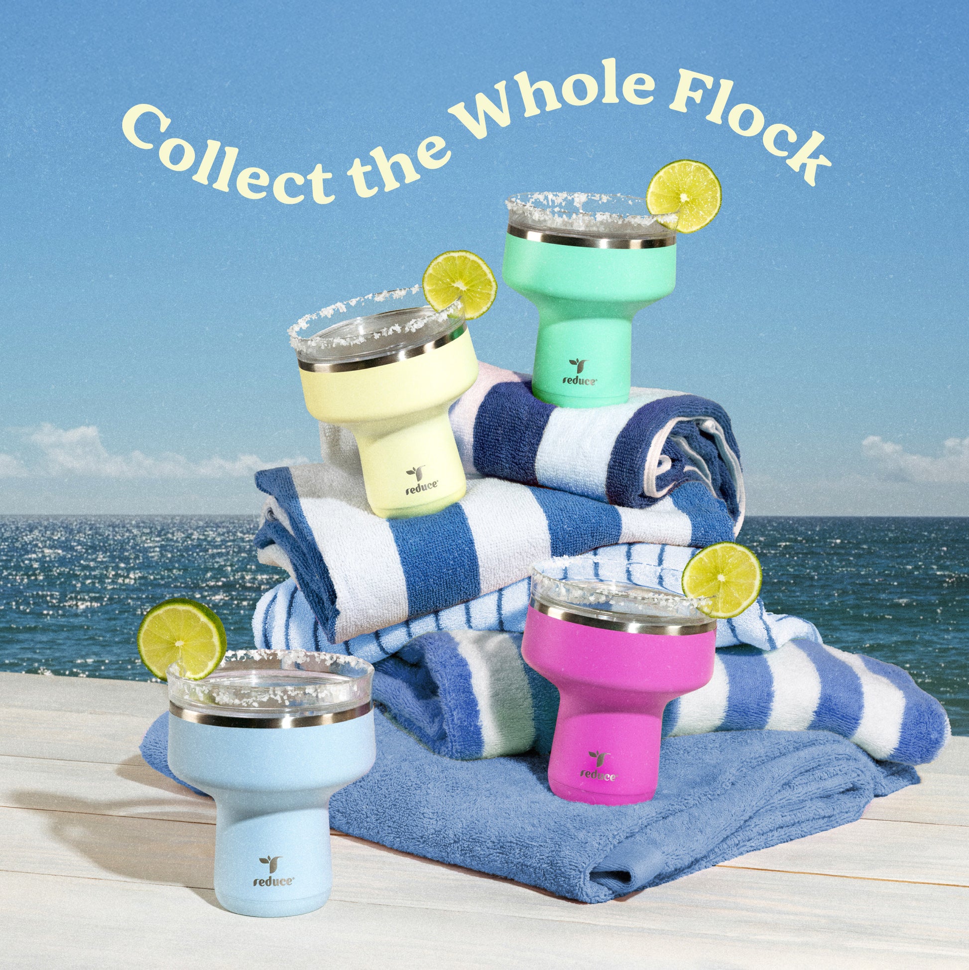 Saltini Party Pack - Reduce Everyday