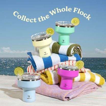 Saltini 16 oz - Reduce Everyday