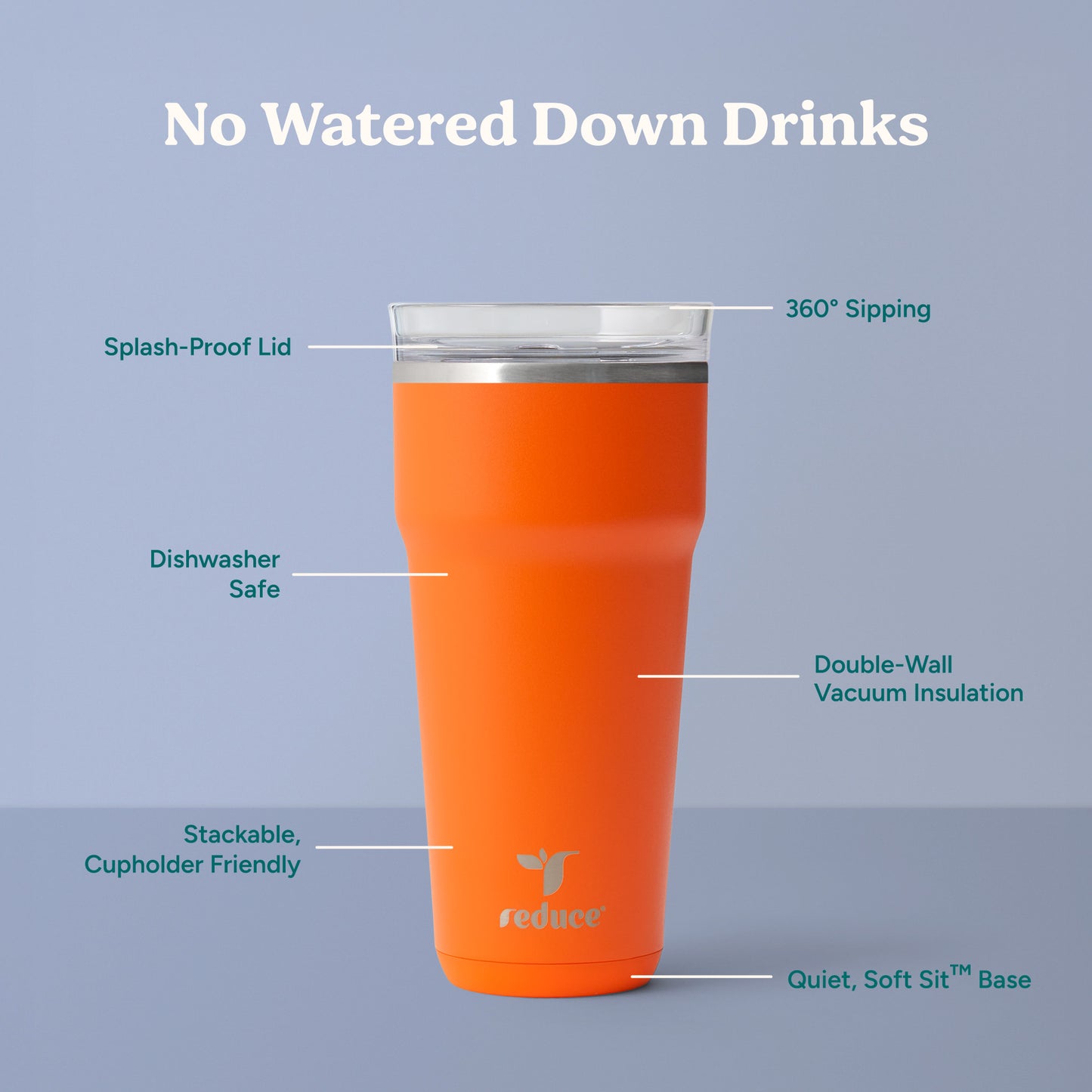 Saltini 19oz